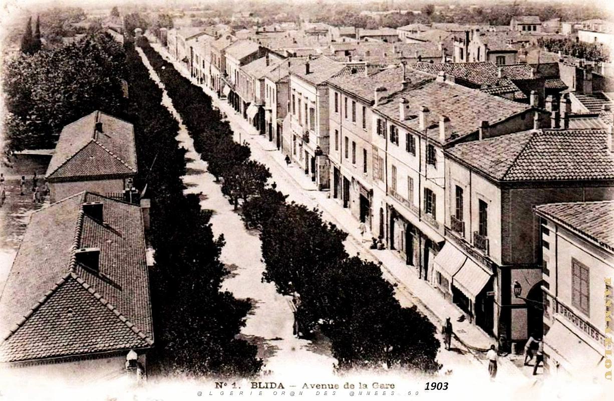 Blida - Avenue de la Gare - 1903.jpg